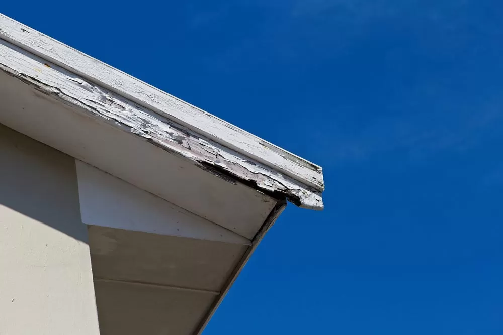 Fascia & Soffit Damage — Roof Repair Services in East Georgia