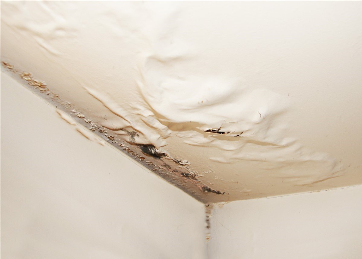 Roof Leaks — Roof Repair Services in East Georgia