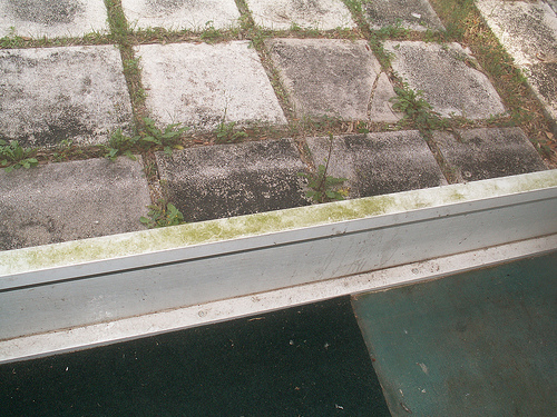 Exterior Painters Tip: Take On That Mildew Problem