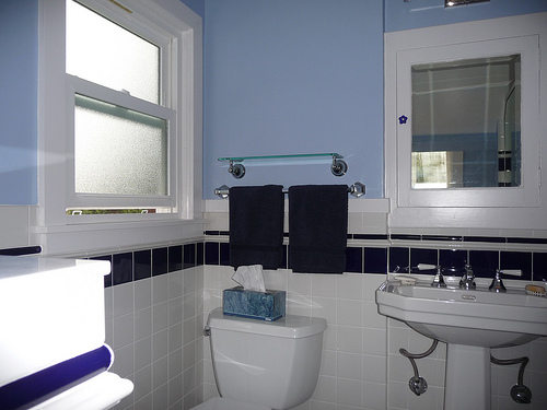 Interior Painters Tip: Dealing With Molds and Mildew On Bathroom Walls