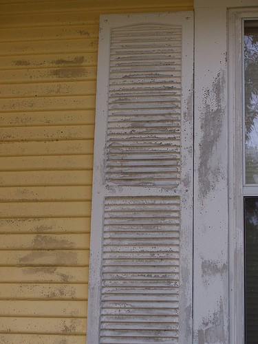 Exterior Painters Tip: Be Mold and Mildew-Free Before Summer