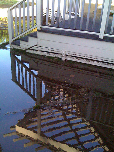 Exterior Painters Painting Tip: Get Rid of Insects During Rainy Season