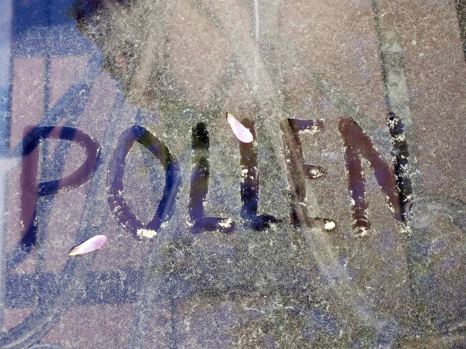 Cleaning/Handling Pollen While Painting