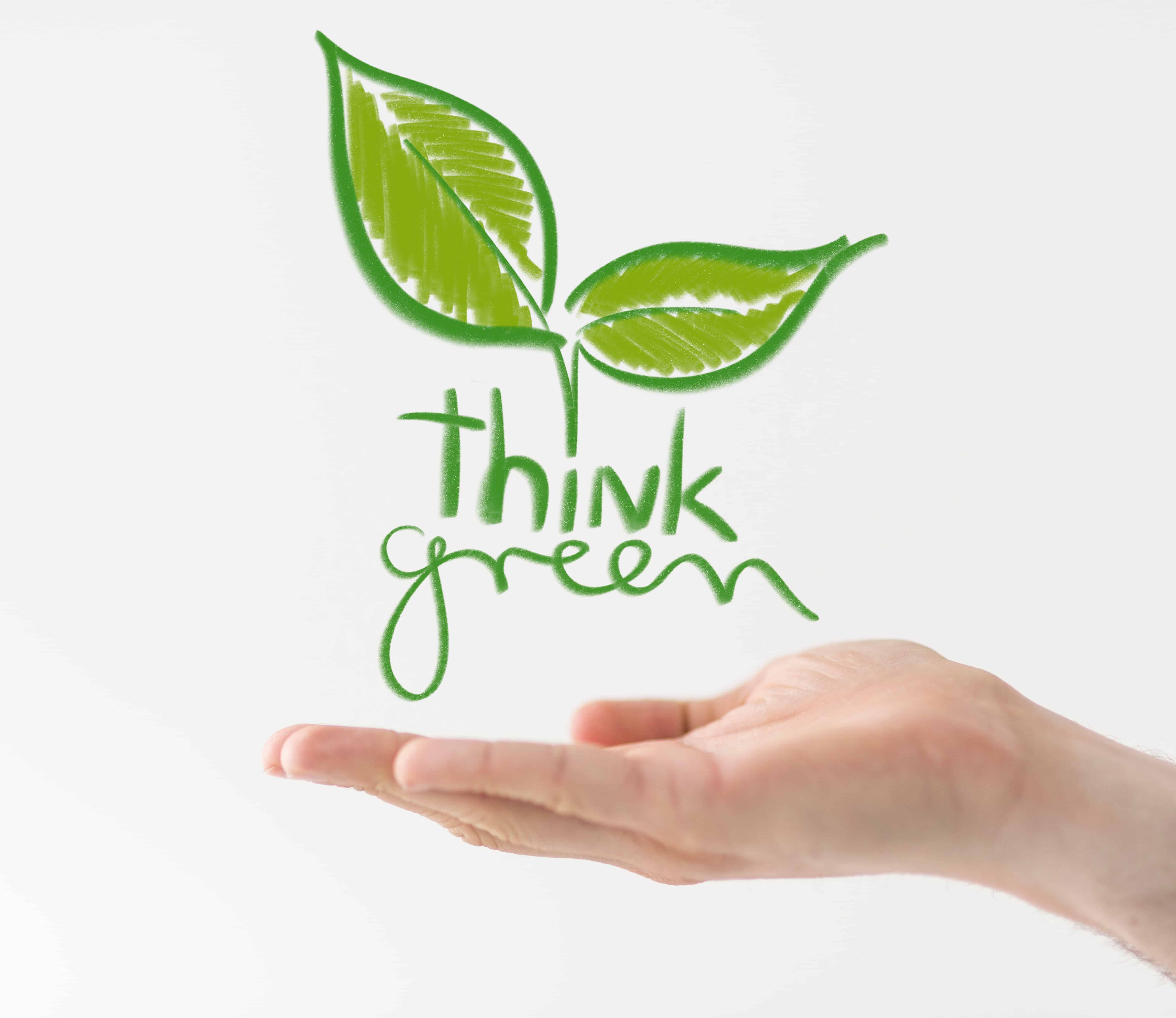 Commercial Painters: Maintaining Quality in Going Green