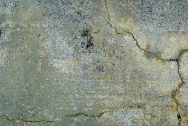 Commercial Painters at their Peak: Commercial Painting in Spring