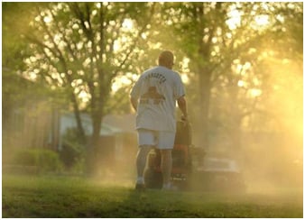 Life After Pollen: Southern Perfection Painting Inc.