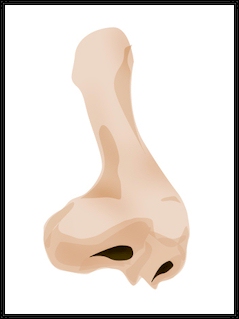 Interior Painters Tip: Spot The Eco-Friendly Paint