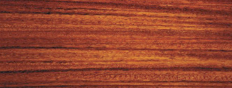 Commercial Painting Ideas: Woodwork Finish done by Interior Painters